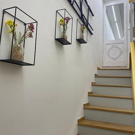 Silvano Cozy Loft Bolonia Zewnętrze zdjęcie